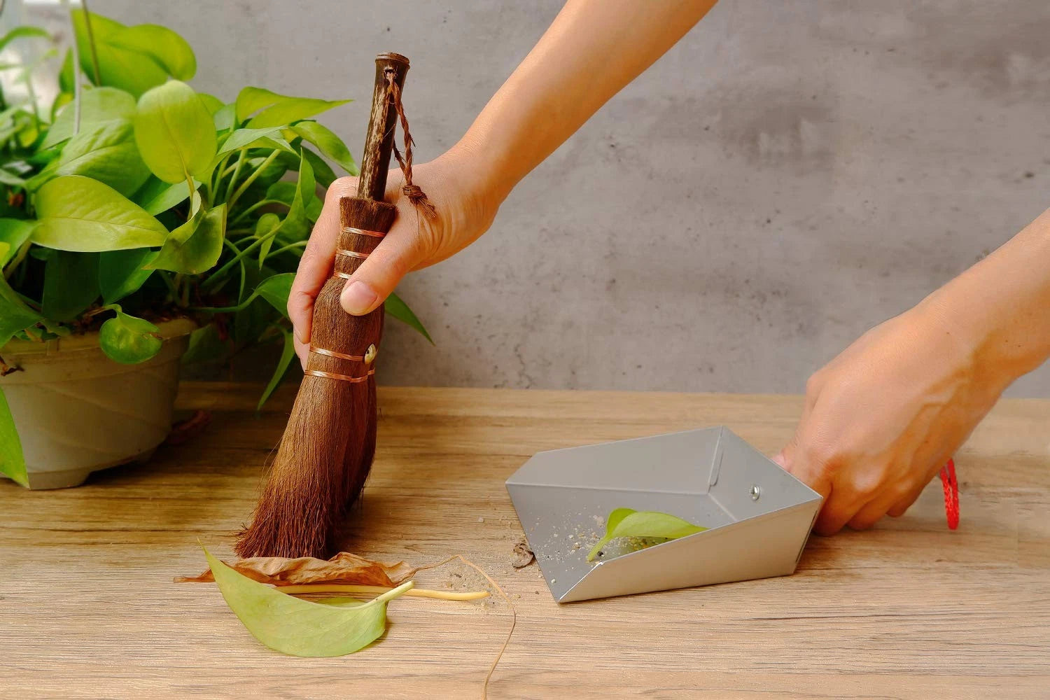 Mini Metal Dustpan and Brush Set Natural Bristle Hand Broom for Fireplace