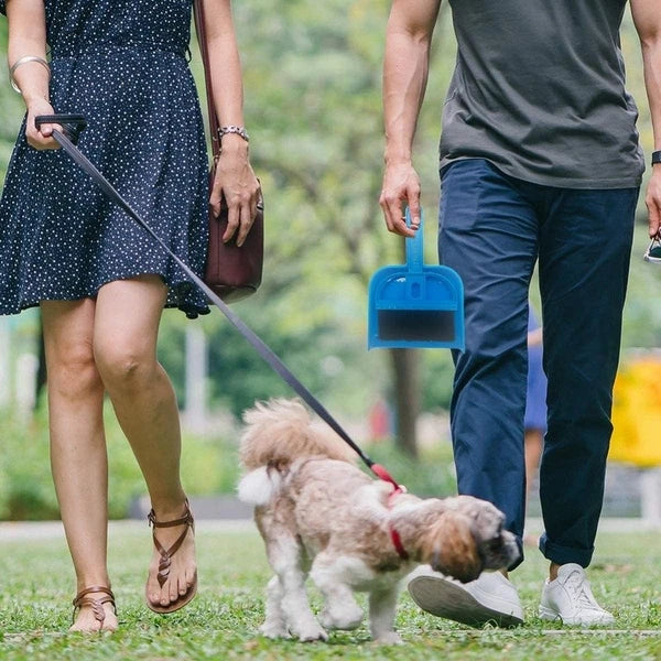 Mini Dustpan & Broom Set Portable Cleaning Tool Pets Home Kitchen Desk New