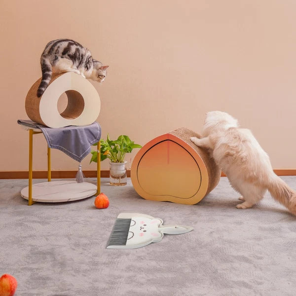 Mini Broom Set Child and Dustpan Detail Cleaning for Housekeeping